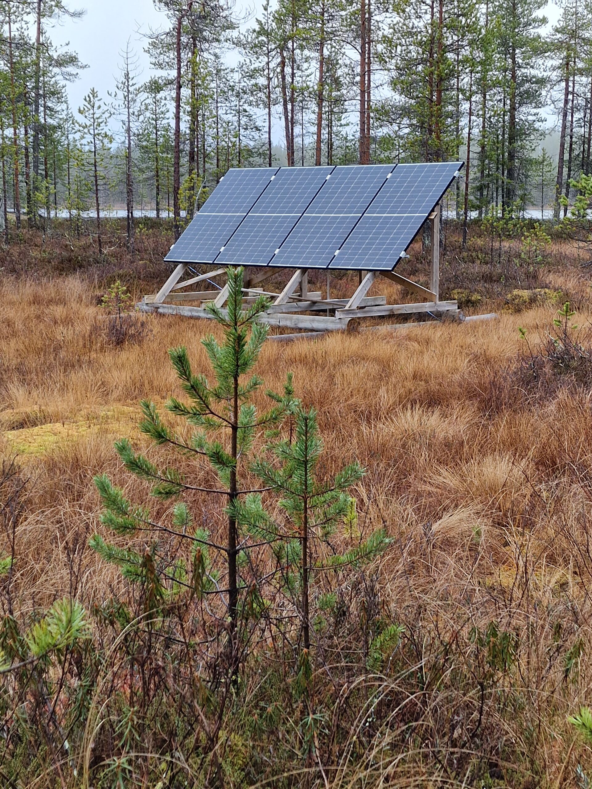 Wattium-off-grid-älykäs-invertterinohjaus